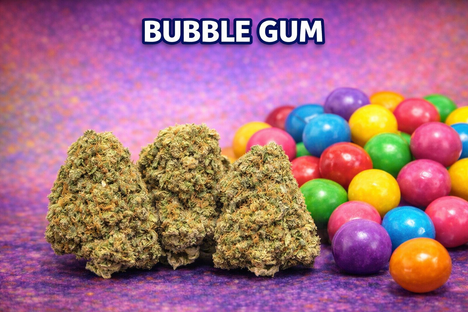 Bubble Gum