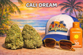 CALI DREAM