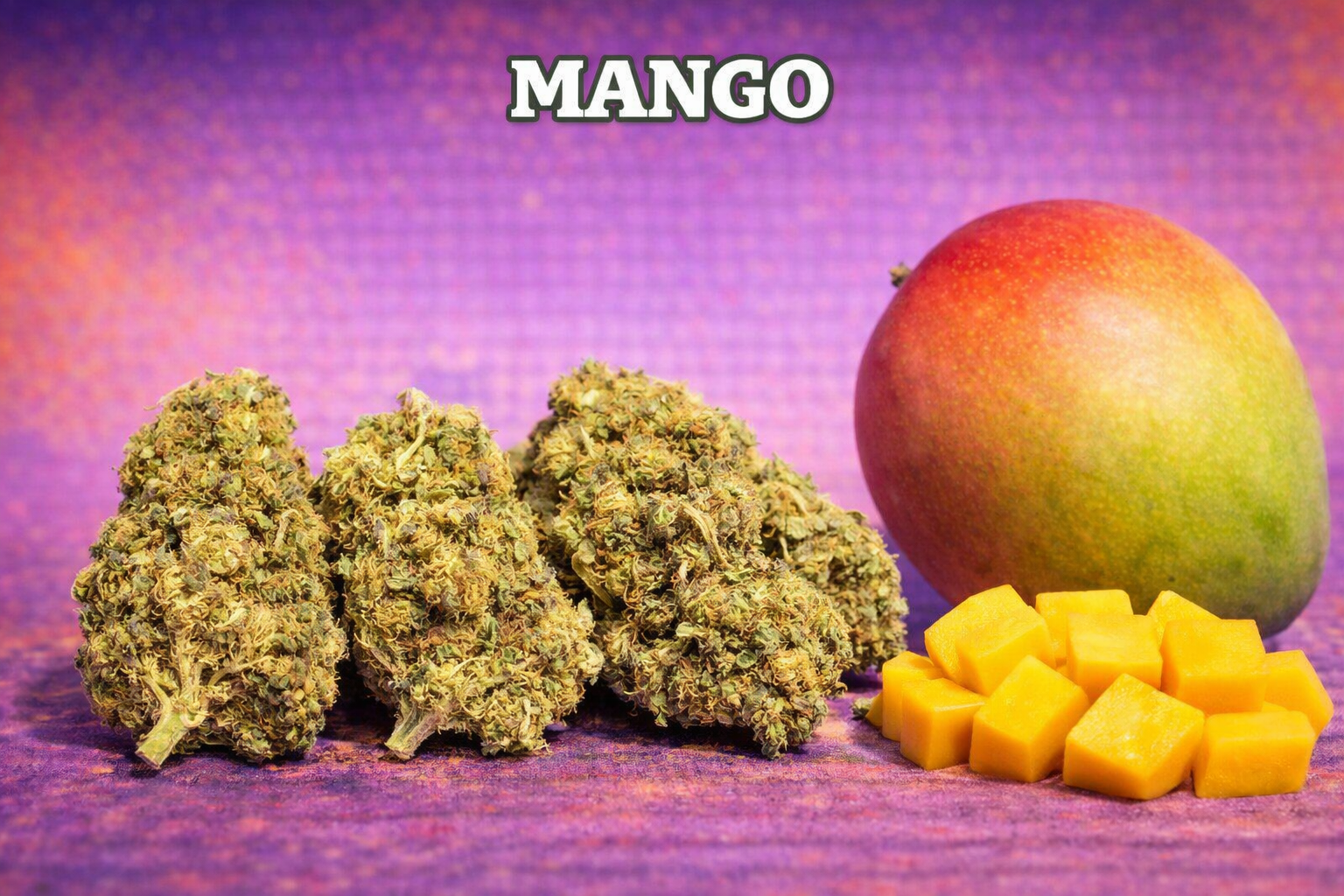 Mango