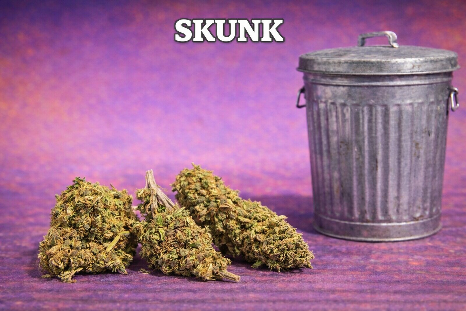 SKUNK