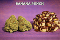 BANANA PUNCH
